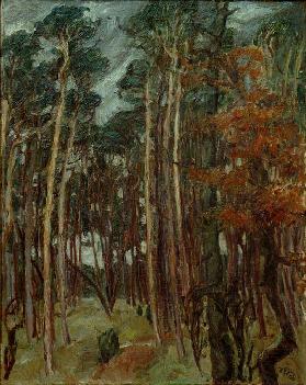 Hermsdorfer Wald am grauen Tag 1908