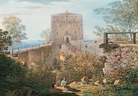 Die Ruine Saldenburg 1805/06