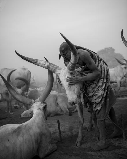 Südsudan – ein Land,in dem Kühe heilig sind