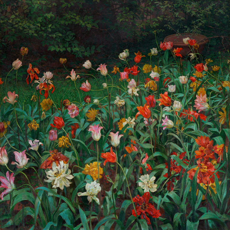 Tulpen von Maximilian Lenz
