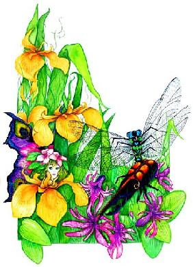 Fairy, Dragonfly and Beetle (w/c on paper) 