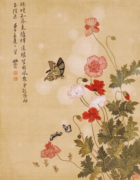 Mohnblumen und Schmetterlinge von Ma Yuanyu