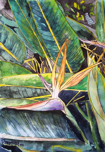 Bird of Paradise von Derek McCrea