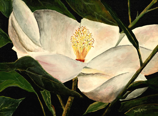 Magnolia new von Derek McCrea
