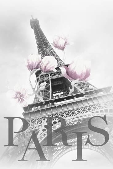 PARIS Eiffelturm mit Magnolien 