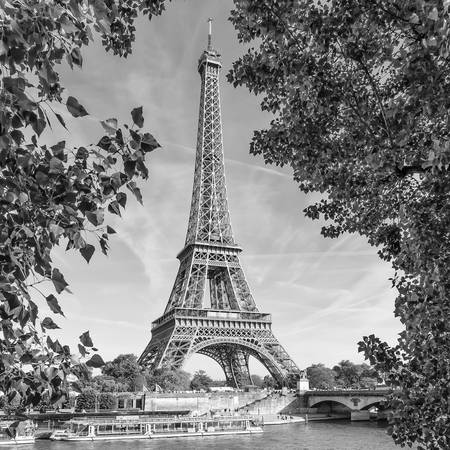 PARIS Eiffelturm & Seine | Monochrom