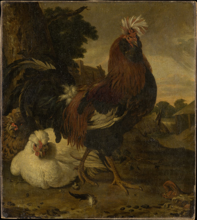 Hahn und zwei Hennen von Melchior de Hondecoeter