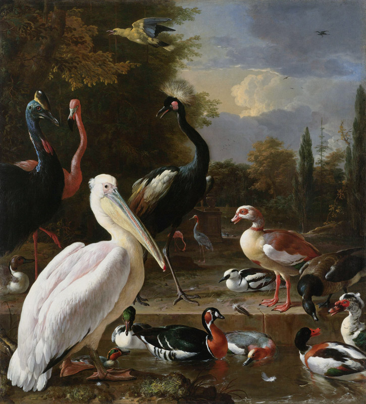 A Pelican and other Birds near a Pool, Known as ‘The Floating Feather’ von Melchior de Hondecoeter
