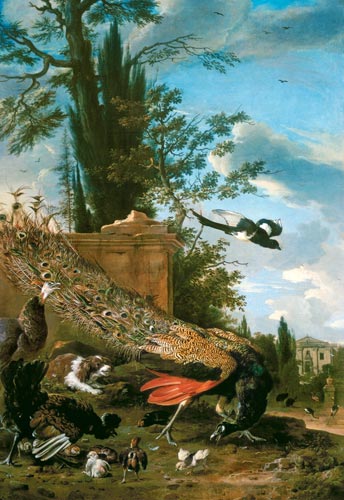 A Peacock and a Spaniel in the Garden of a Villa von Melchior de Hondecoeter