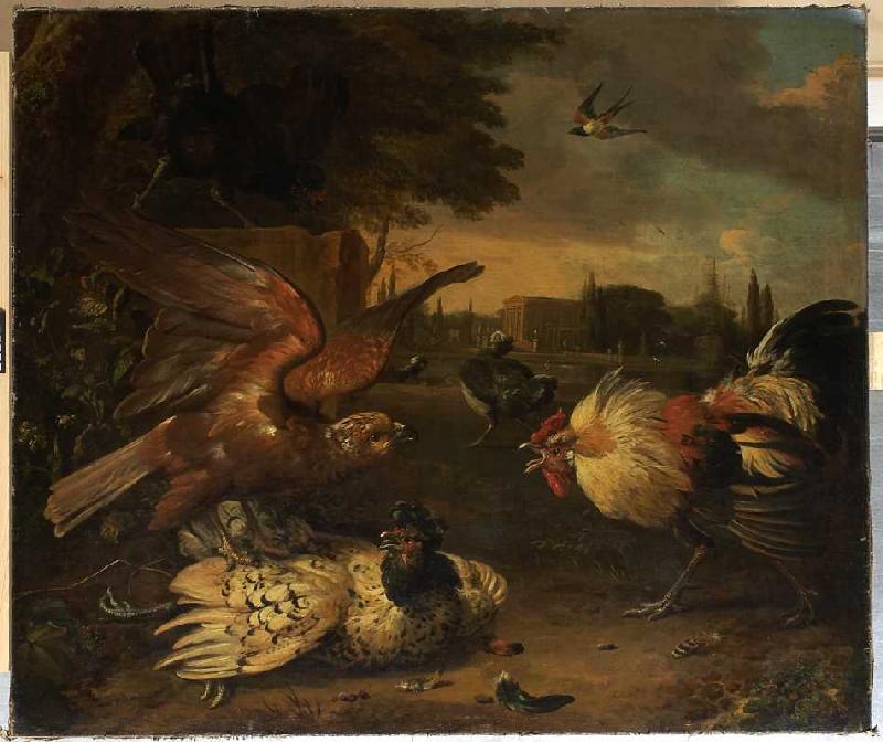 Ein Hahn verteidigt eine von einem Falken geschlagene Henne. von Melchior de Hondecoeter