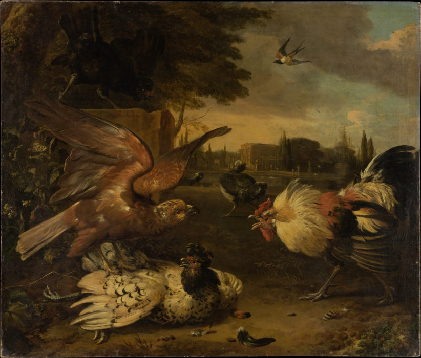 Ein Hahn verteidigt eine von einem Falken geschlagene Henne von Melchior de Hondecoeter