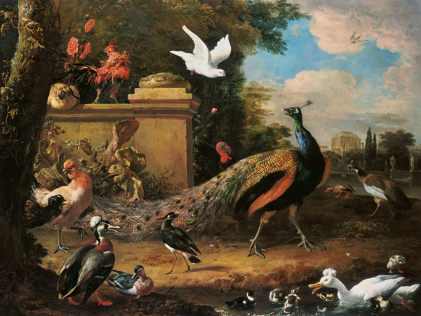 Peacocks and other Birds by a Lake von Melchior de Hondecoeter