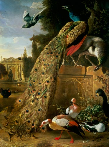 Peacock and a Peahen on a Plinth, with Ducks and Other Birds in a Park von Melchior de Hondecoeter