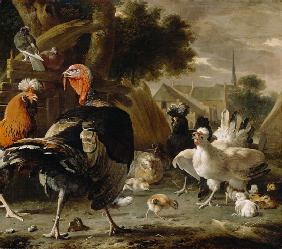 Poultry Yard 1668