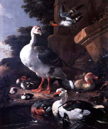 Waterfowl in a classical landscape von Melchior de Hondecoeter