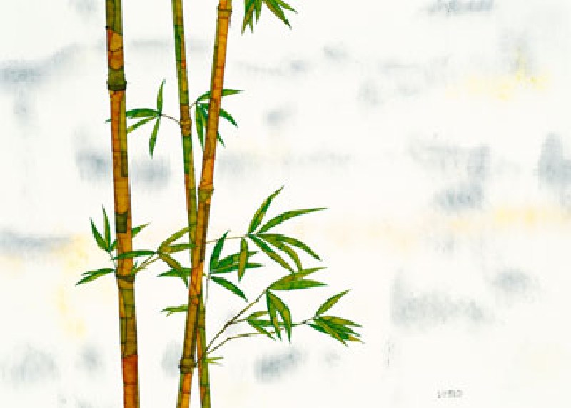 Bambus von Michael Ferner