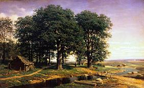 Eichenwald. 1863
