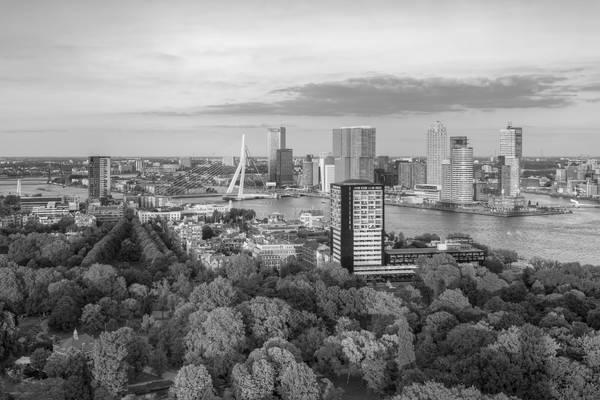 Abendsonne in Rotterdam schwarz-weiß von Michael Valjak