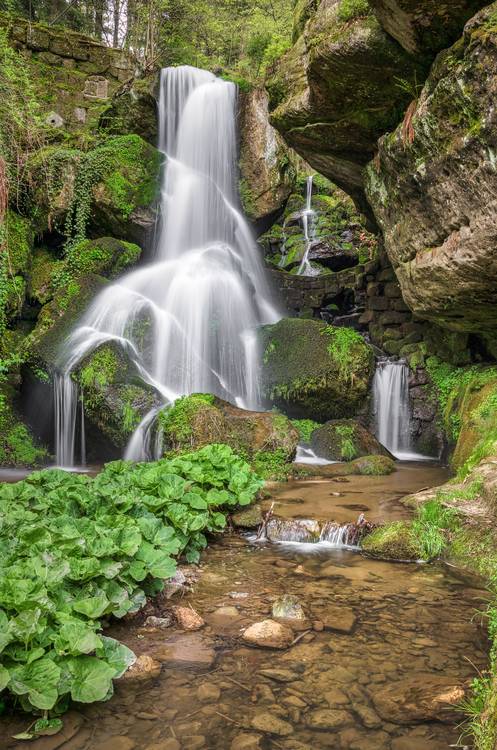 Lichtenhainer Wasserfall in der Sächsischen Schweiz von Michael Valjak