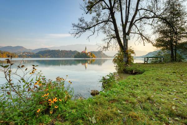 Morgens am Bleder See in Slowenien von Michael Valjak