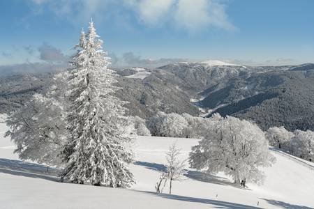 Blick zum Feldberg im Schwarzwald im Winter