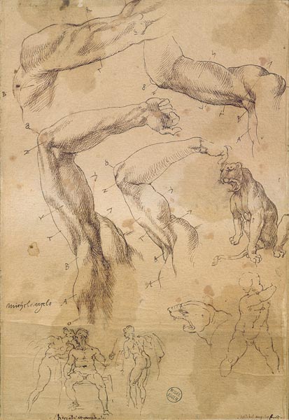 Ms H 184 fol.202 Studies of raised arms, a wild cat and a group of figures  & von Michelangelo (Buonarroti)