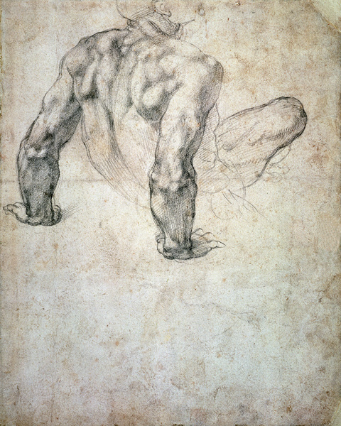 W.63r Study of a male nude, leaning back on his hands cil on von Michelangelo (Buonarroti)