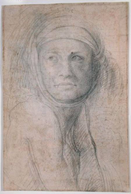 Head of a Woman von Michelangelo (Buonarroti)