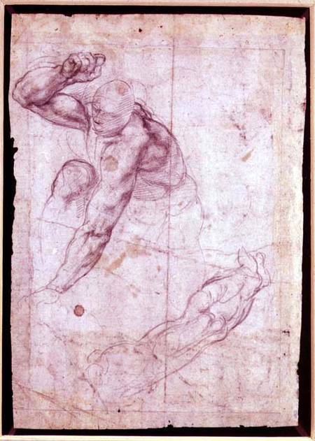 Male figure study von Michelangelo (Buonarroti)