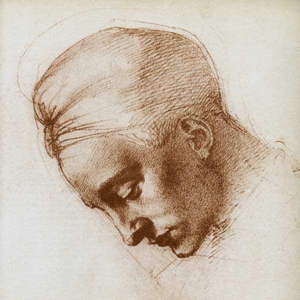 Studie zum Kopf der Leda von Michelangelo (Buonarroti)