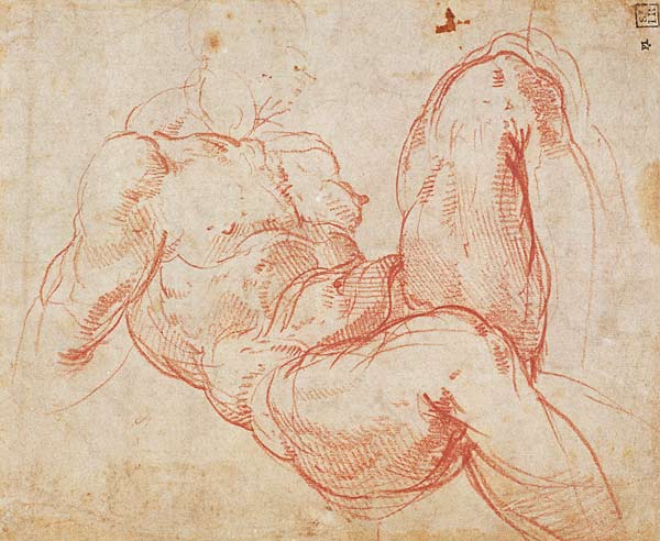 Study of a Nude (red chalk) Inv.1854/5/13/1 Recto (W.10) von Michelangelo (Buonarroti)