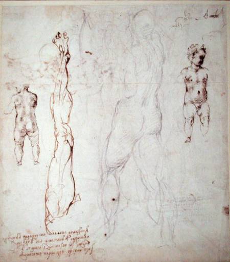 Study of the Christ Child and an Anatomical Drawing with Notes (black chalk & brown ink on paper) (v von Michelangelo (Buonarroti)