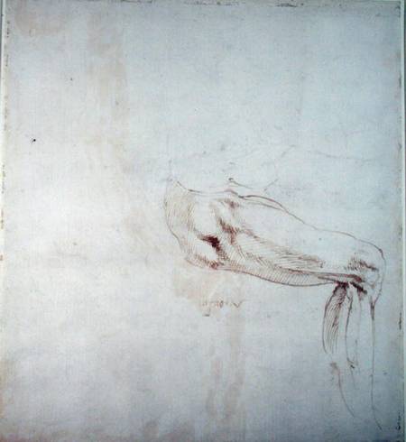 Study of a Leg with Notes  (recto) von Michelangelo (Buonarroti)