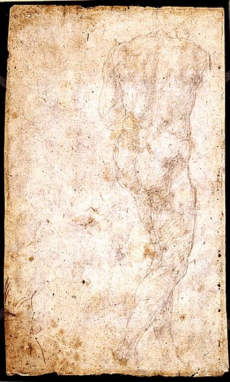 Study of a Male Nude  (for verso see 191765) von Michelangelo (Buonarroti)