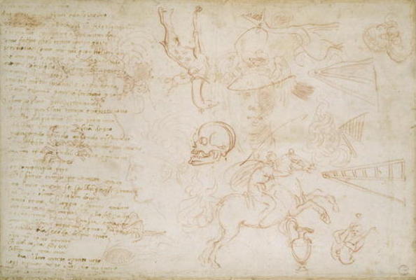 Study of heads and animals, c.1525 (red chalk & pen on paper) von Michelangelo (Buonarroti)