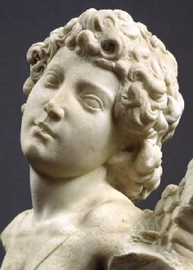 Head from the 'Manhattan' Cupid c.1494-96