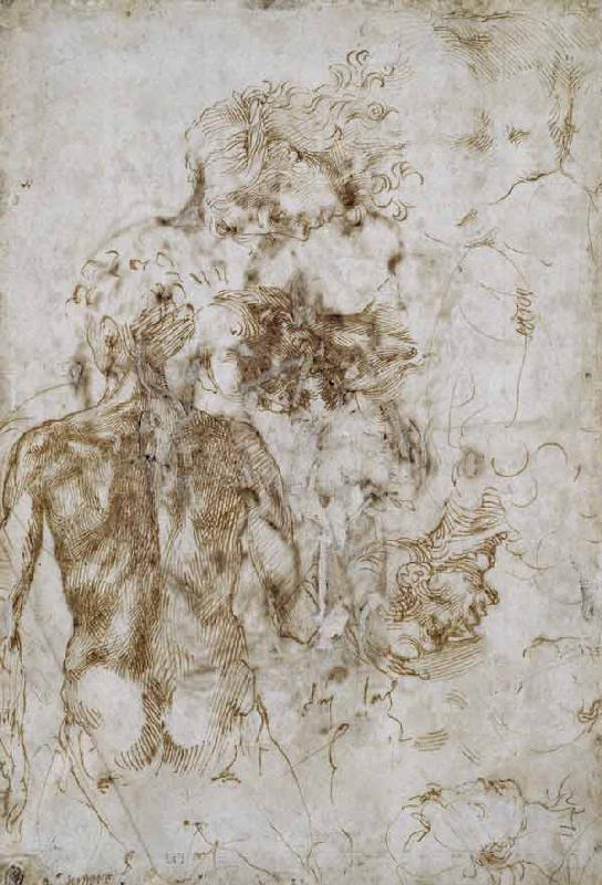 Studies of Male Nude, after 1501-2 (pen & ink on paper) 1601