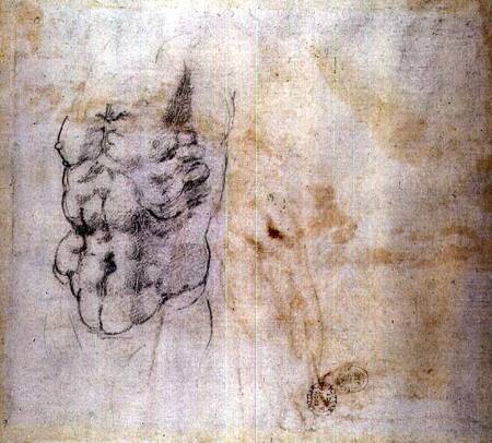 Torso Study (W.45 verso) von Michelangelo (Buonarroti)