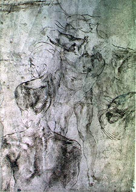 Various studies, verso of Study for David  & von Michelangelo (Buonarroti)