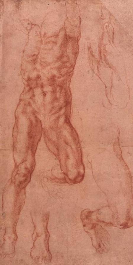 W.13r Study of a male nude, stretching upwards von Michelangelo (Buonarroti)