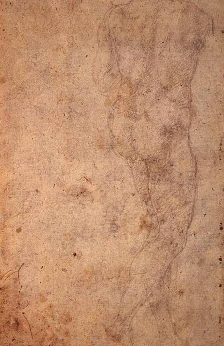W.48 Sketch of a standing male nude, rear view von Michelangelo (Buonarroti)