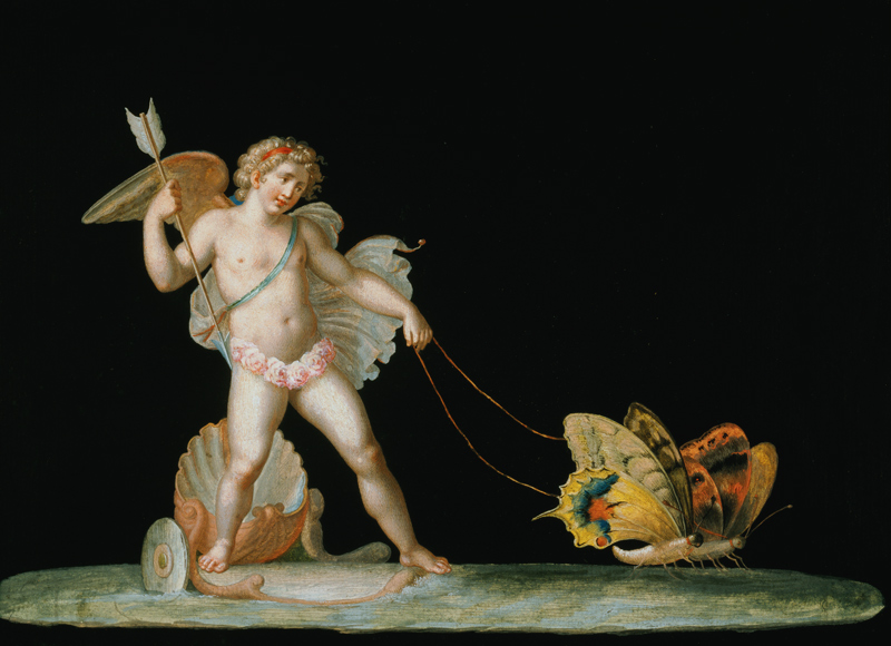 Cupid led by butterflies von Michelangelo Maestri