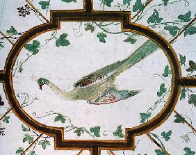 Detail of the ceiling of the cellar, Villa Medicea di Careggi (photo) 19th