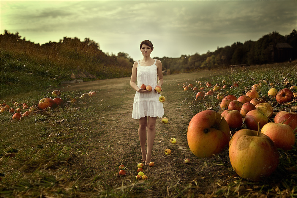 Äpfel von Mike Darzi