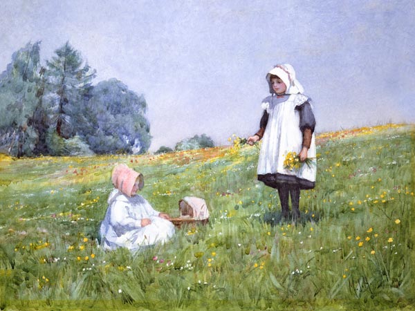 Buttercups and Daisies von Minnie Jane Hardman