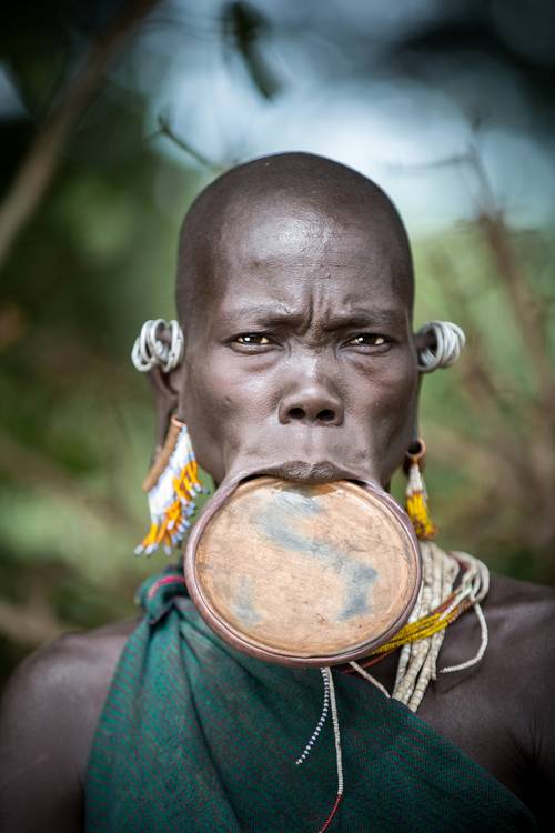 Porträt alte Frau aus dem Suri / Surma Stamm mit Lippenteller in Omo Valley, Äthiopien, Afrika von Miro May