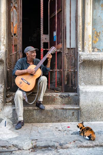 Song for a Cat in Havana, Kuba. von Miro May