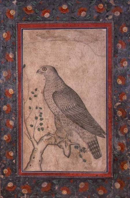 Falcon perched on a leafy stump von Mughal School