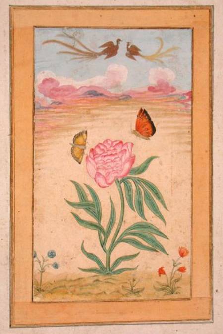 Flowering plants with birds of paradise and butterflies, from the Small Clive Album von Mughal School