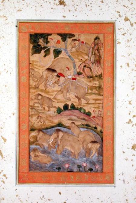 Hunters Capturing Elephants, from the Large Clive Album von Mughal School